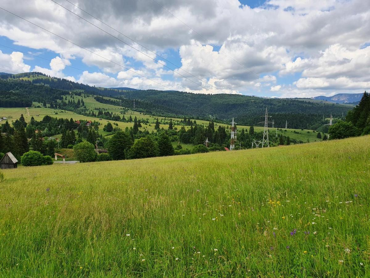 Pensiunea Maros Izvoru Mureşului Exteriér fotografie
